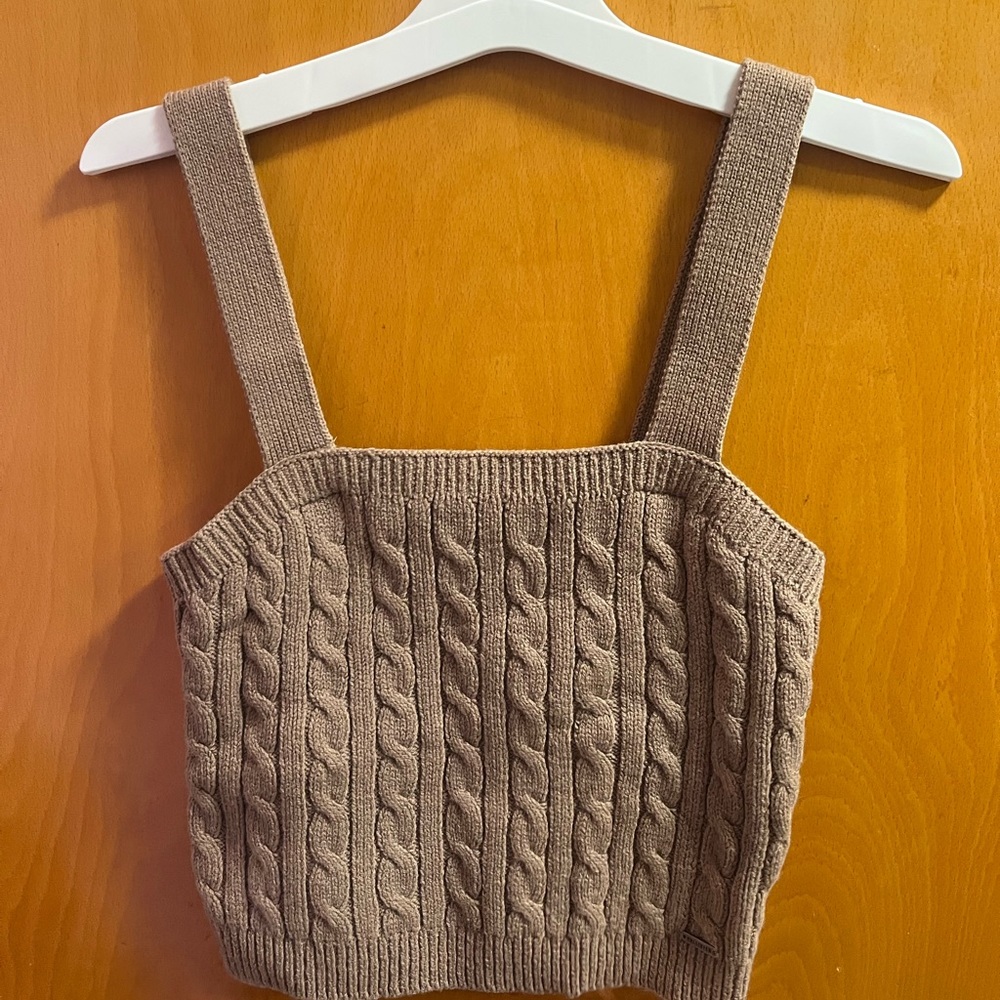 NWT Holister brown crop top tank